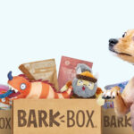 Barkbox Review