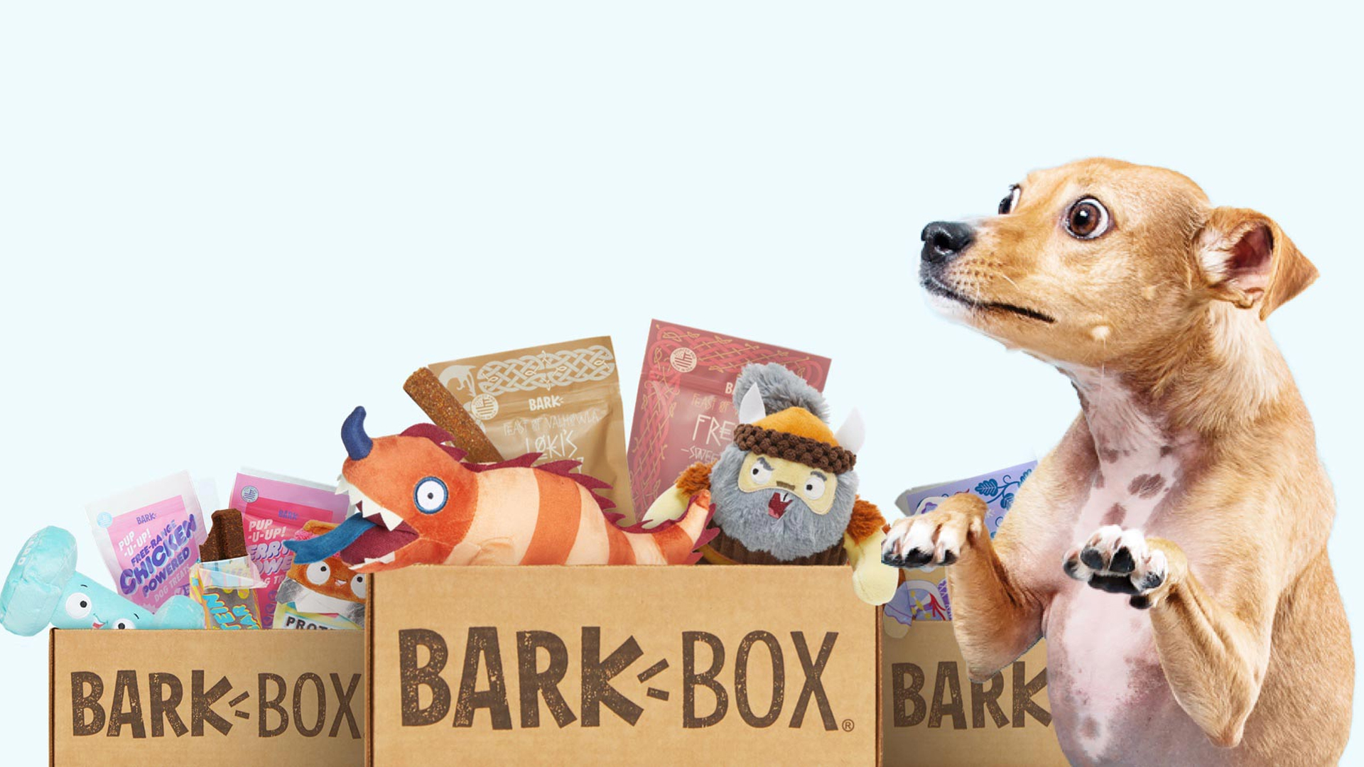 Barkbox Review