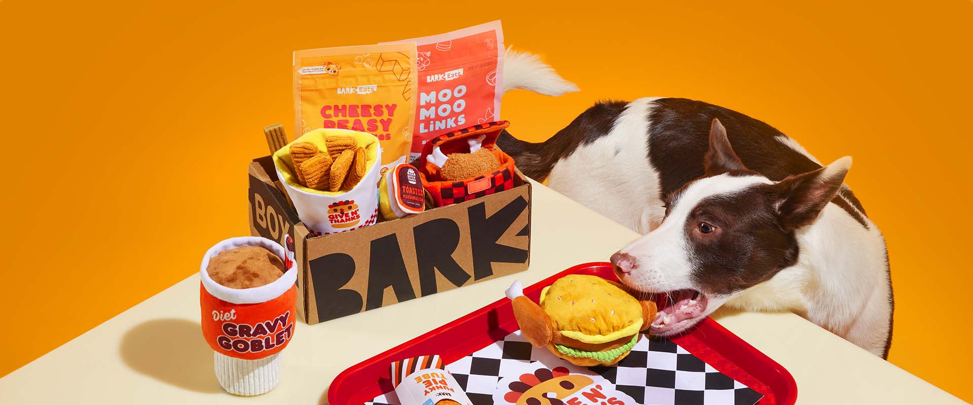Barkbox Give N Thanks