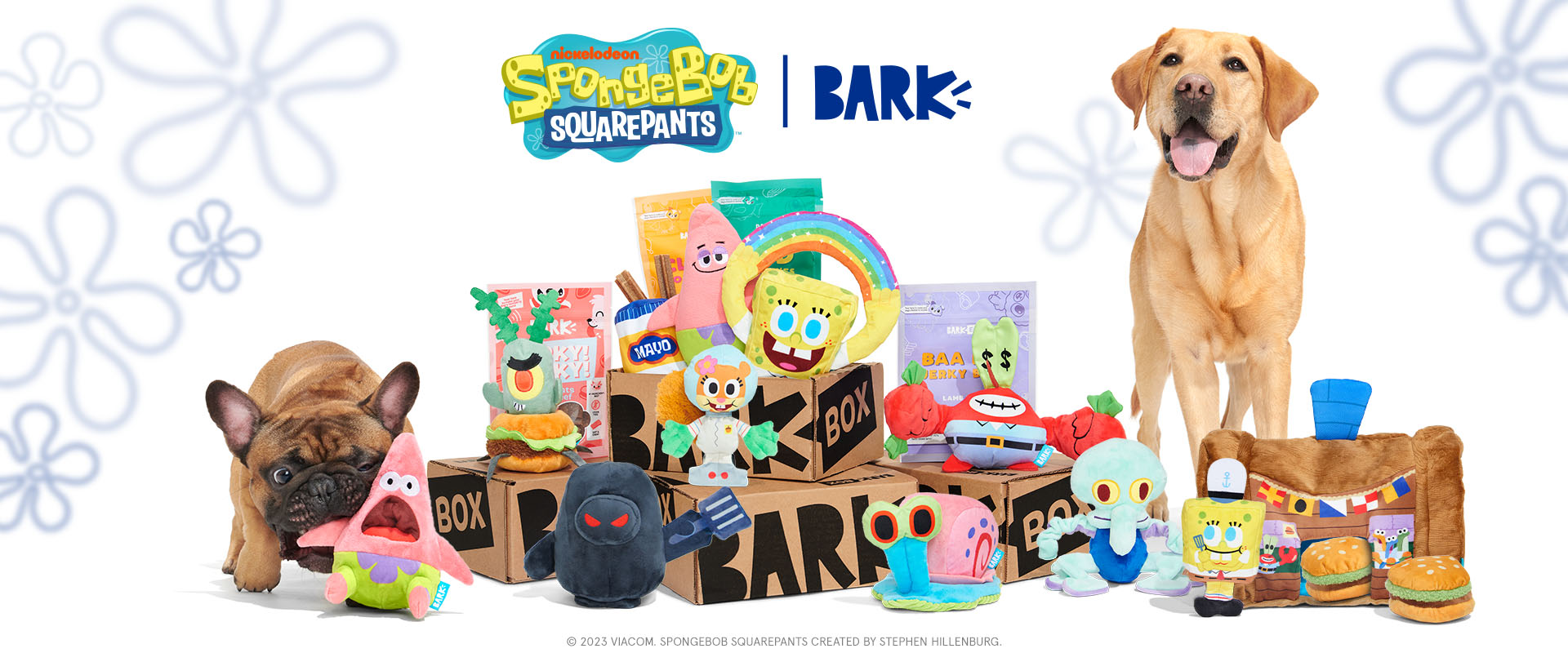 Barkbox SpongeBob