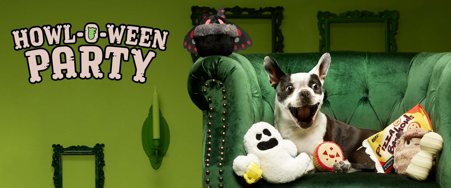 Barkox Hawl-O-Ween Party