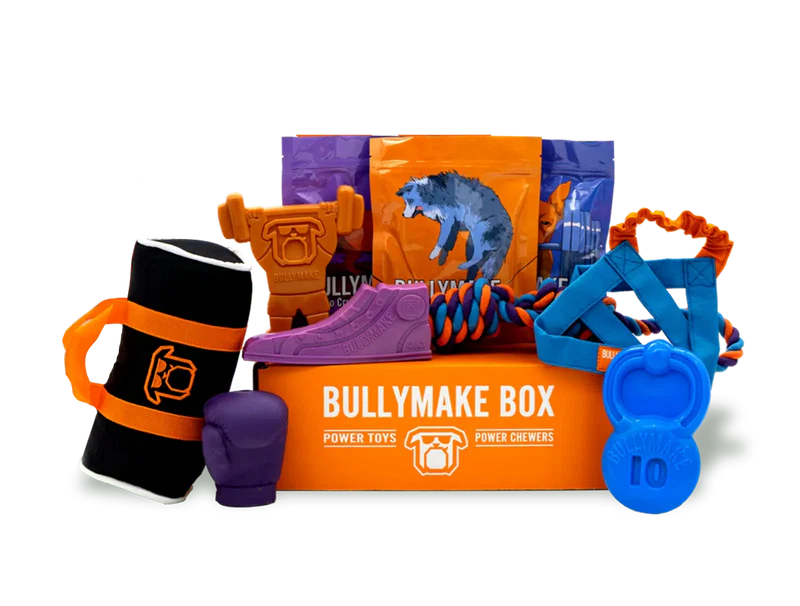 Bully Make Box 1
