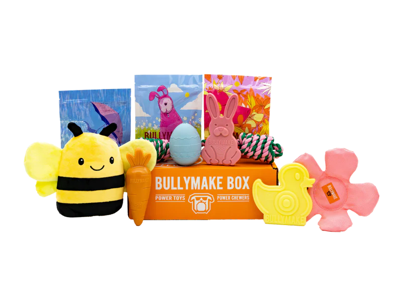 Bully Make Box 2