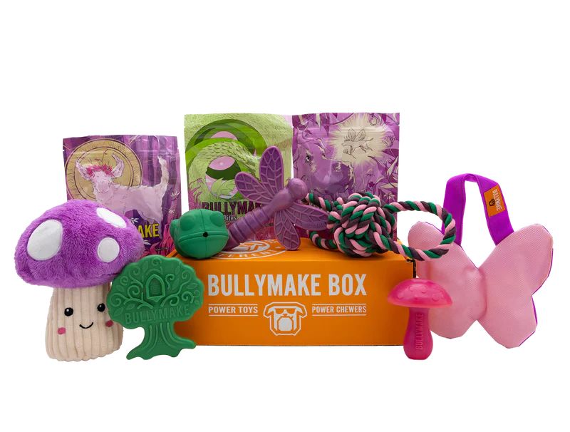 Bully Make Box