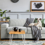 Fresh Picks to Revitalize Your Daily Routine, Living Space, and Personal Style