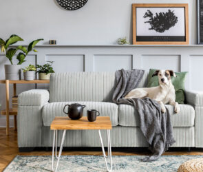 Fresh Picks to Revitalize Your Daily Routine, Living Space, and Personal Style