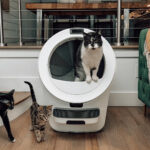 Litter Robot Review