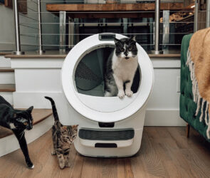 Litter Robot Review