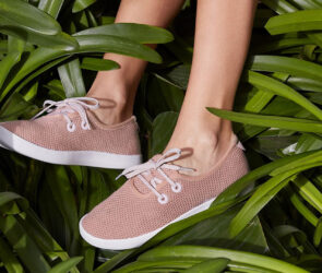 Allbirds Review