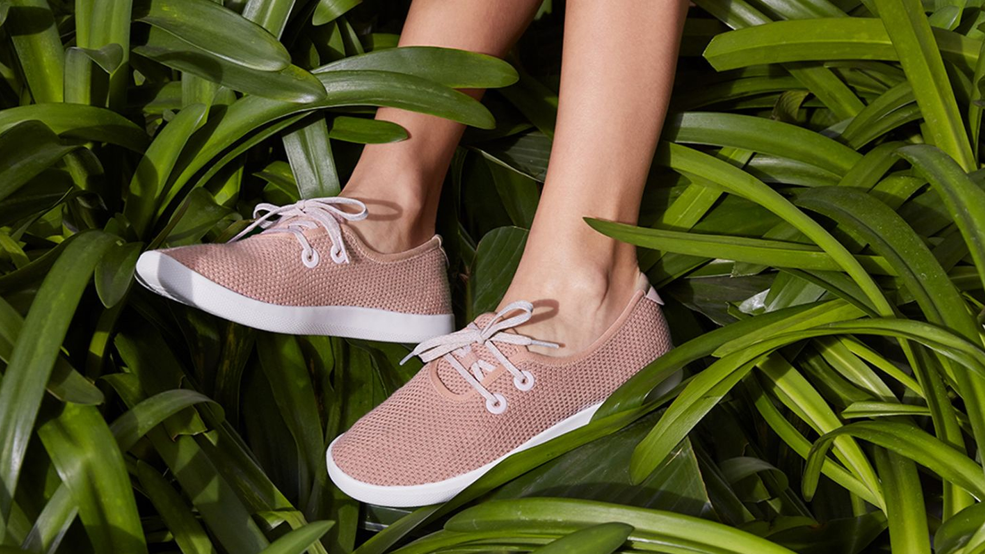 Allbirds Review