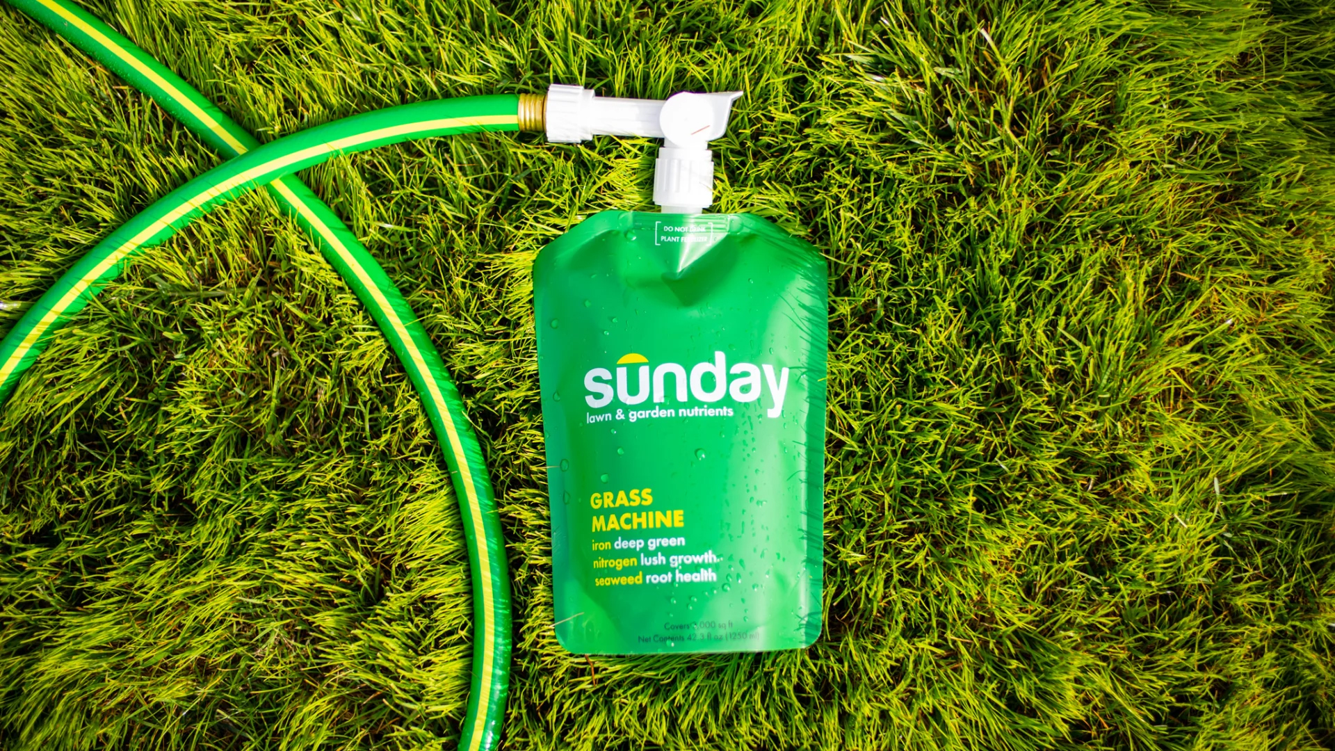 Sunday Lawn Care Review