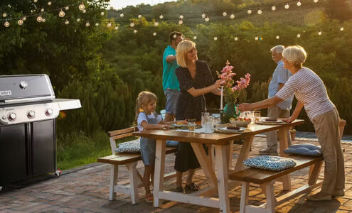 Weber Grills Review