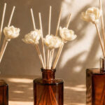Candle Science Review