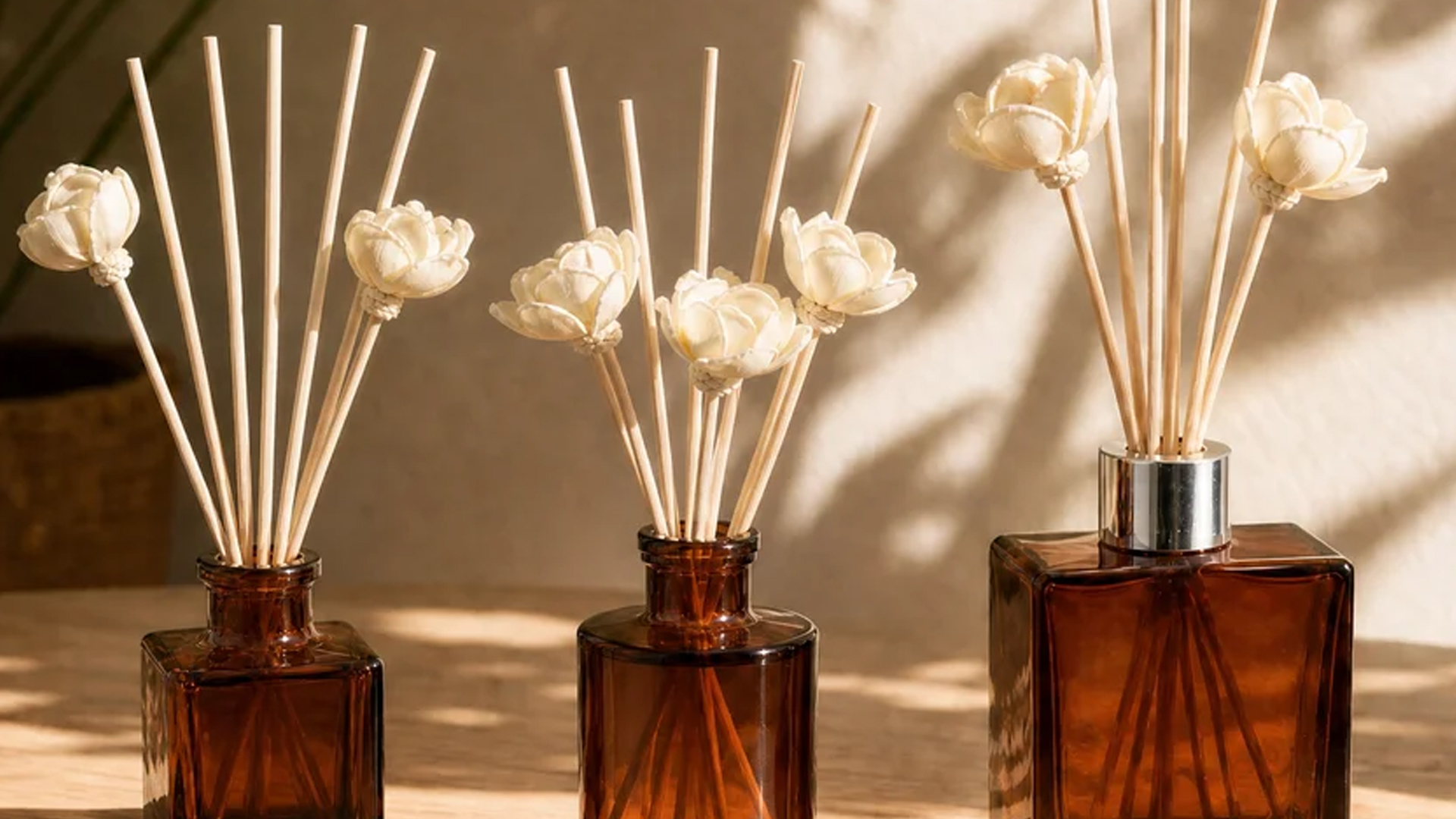 Candle Science Review